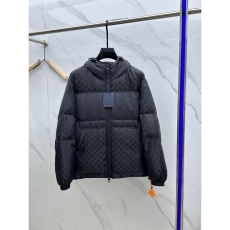 Louis Vuitton Down Jackets